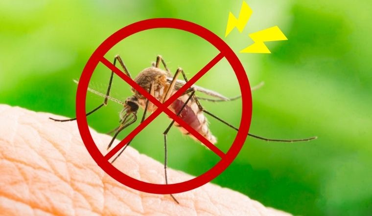 phòng ngừa muỗi hiệu quả